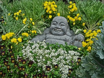 Buddha in the flowers