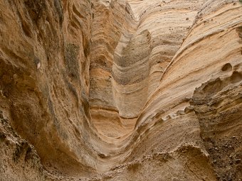 Patterns in the stone