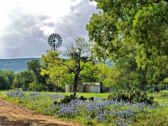 Windmill in spring