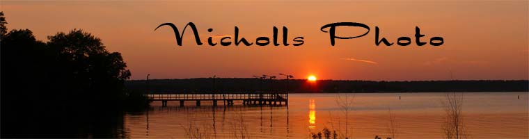 Nicholls Photo